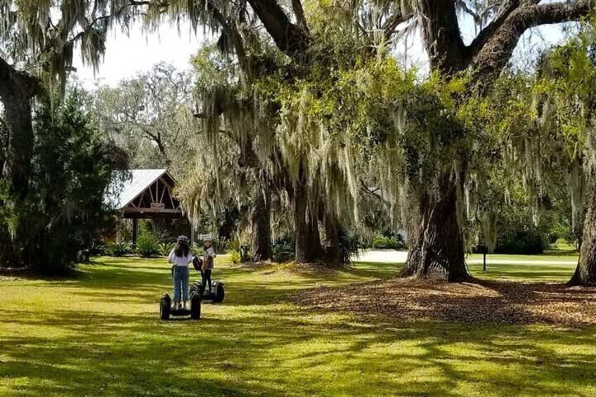 Glide through nature and history.