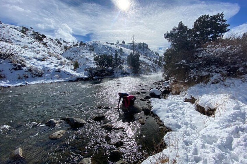 Yellowstone Winter Private Tour from Bozeman