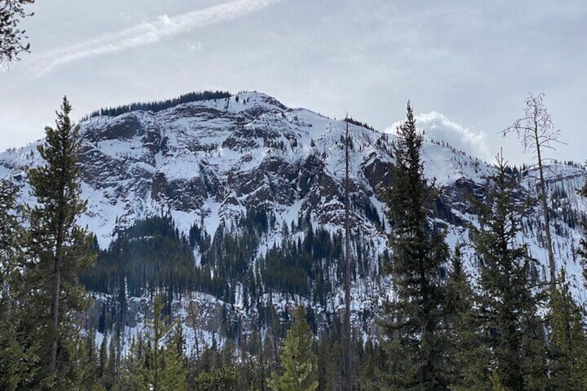 Yellowstone Winter Private Tour from Bozeman