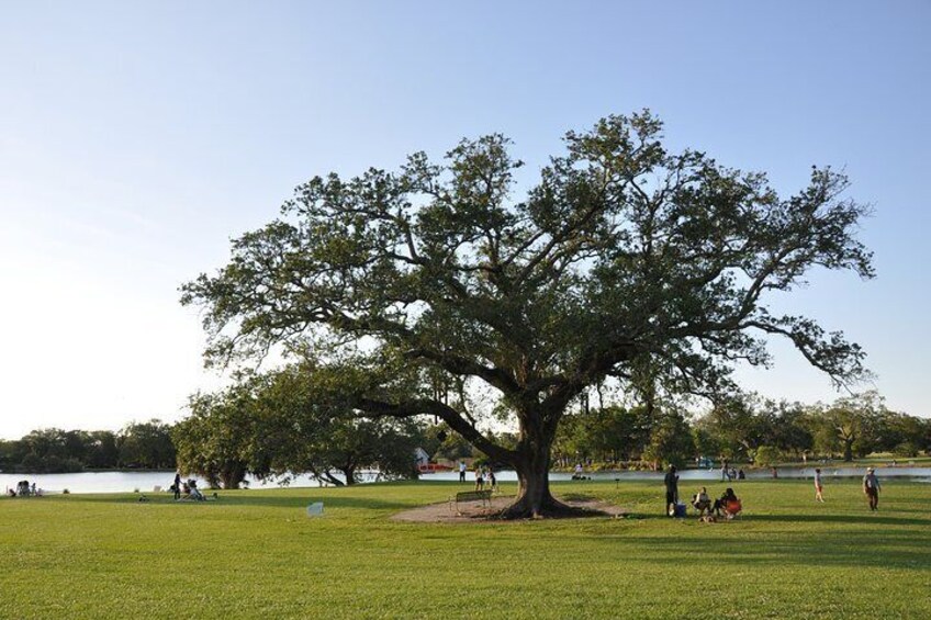 New Orleans City Park Private Tour and Exploration Game