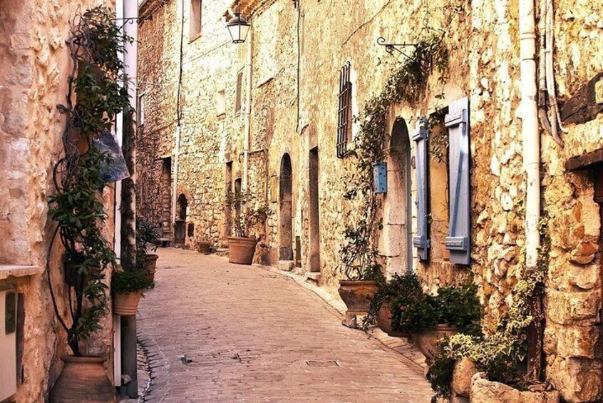 The charming villages of provence full day private tour
