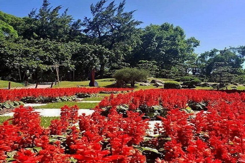 Buenos Aires Private Tour Discovering Palermo, The Japanese & Botanical Gardens