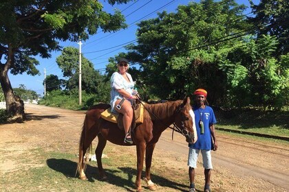 Horse Back Ride and Swim Adventure from Ocho Rios