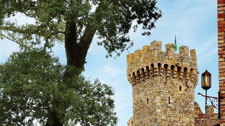 The Original Napa Valley Wine Trolley "Up Valley" Castle Tour