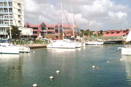 Panoramic Coastal Barbados Tour