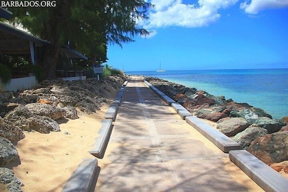 Panoramic Coastal Barbados Tour