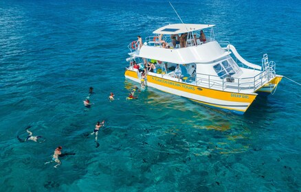 Crucero de medio día para bucear