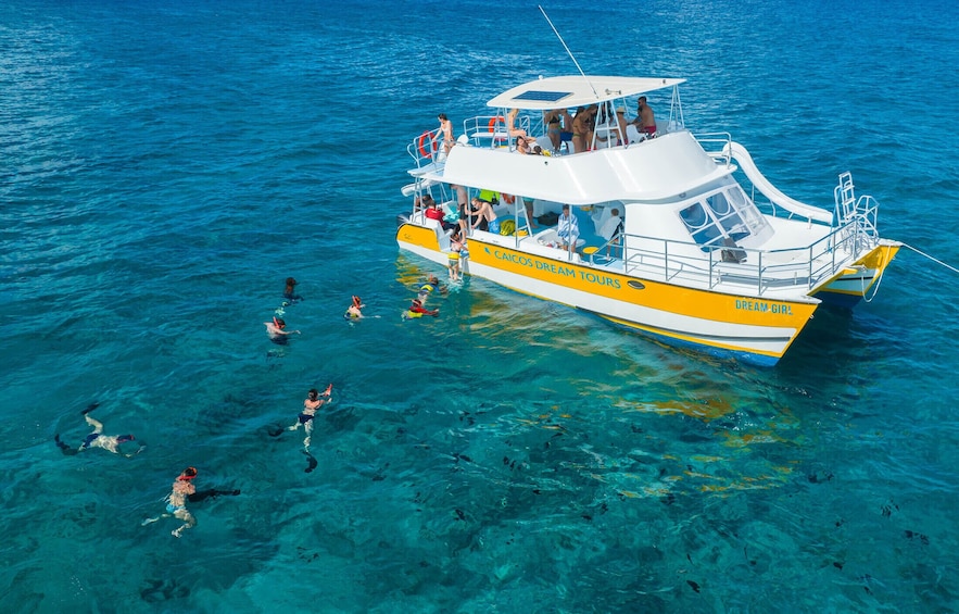 Half-Day Snorkeling & Conch Cruise with Beach Picnic