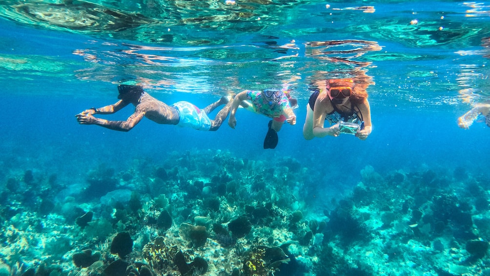 Dream Day Getaway with Snorkeling & Barbecue Lunch