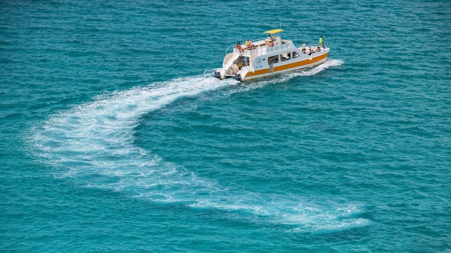 Dream Day Getaway with Snorkeling & Barbecue Lunch