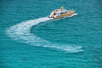 Escapada de ensueño con snorkel y almuerzo barbacoa