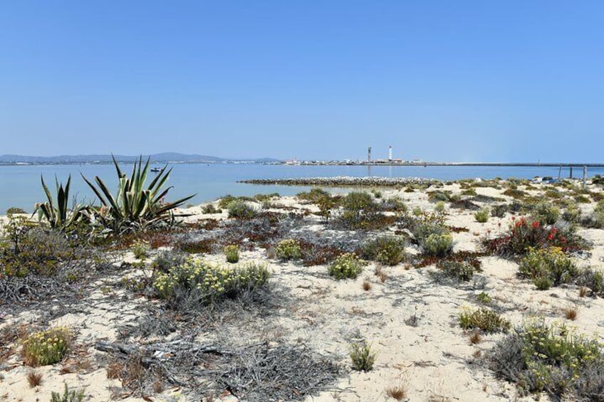 Private Sightseeing Boat Tour in Ria Formosa at Olhão