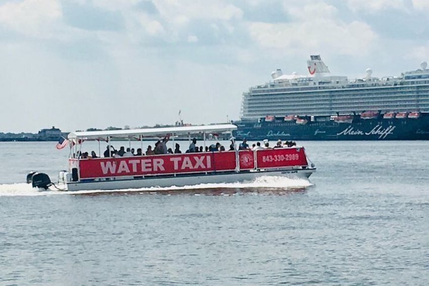 Charleston Water Taxi/Dolphin Cruises