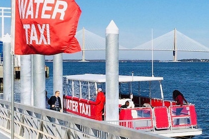 Crucero en taxi acuático por Charleston con avistamiento de delfines