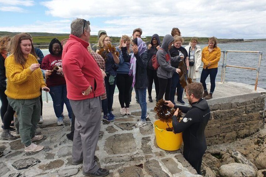 Food, heritage & cultural tour Inishmore, Aran Islands. Private guided. 5 hours.