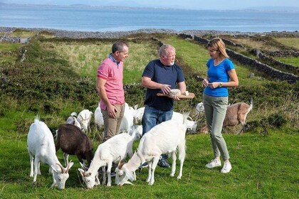 Food, heritage & cultural tour Inishmore, Aran Islands. Guided.