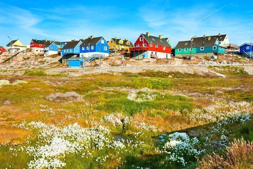 The best of Ilulissat walking tour