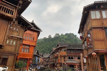 Private Day Tour to Zhaoxing Dong Minority Village from Guangzhou by Fast T...