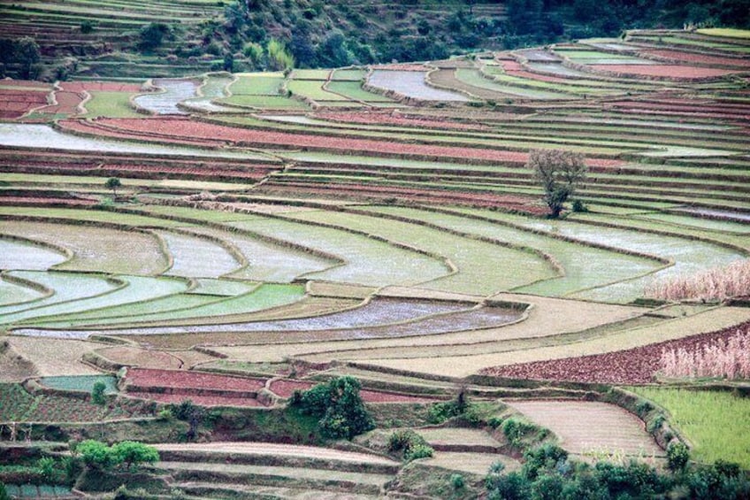 Romantic tour in Antsirabe