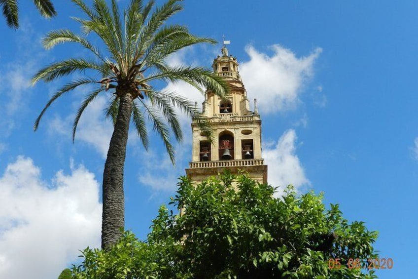 Visit of La Mosquèe Cathedral with an official guide.