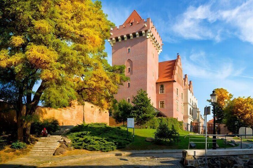 The Best of Poznan Walking Tour