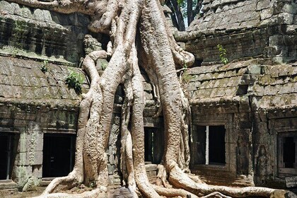 Private Tuk Tuk Tour to Angkor Wat and Small Circle with Two Extras