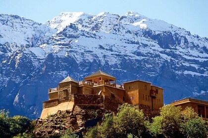 Half-day Tour to Imlil Valley and High Atlas from Marrakech