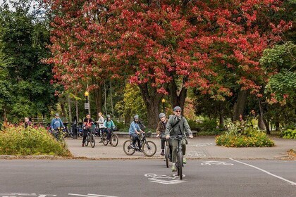 Visite en vélo de Montréal : quartiers et joyaux cachés