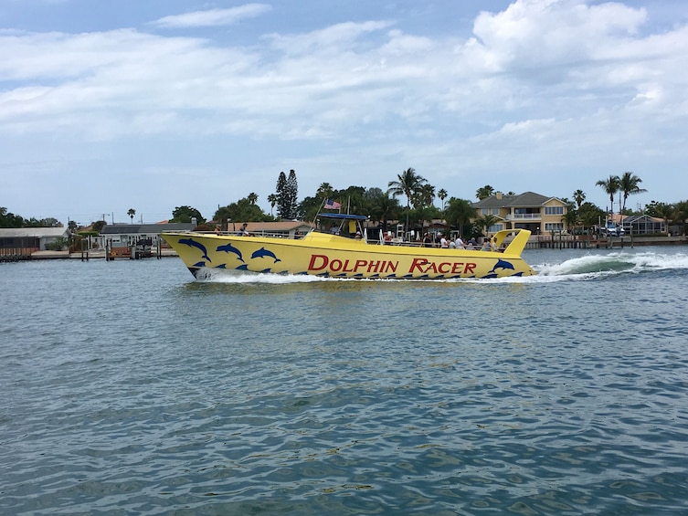 Dolphin Racer Speedboat Adventure