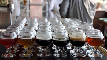 Sip of Boston Brewery Tour