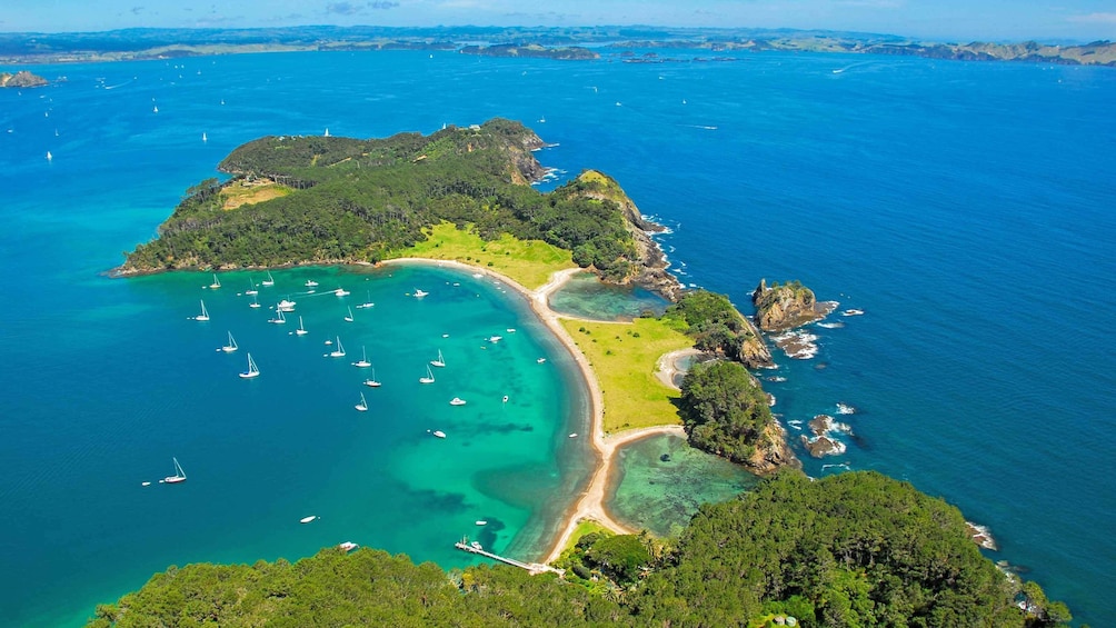 aerial view of peninsula in new zealand