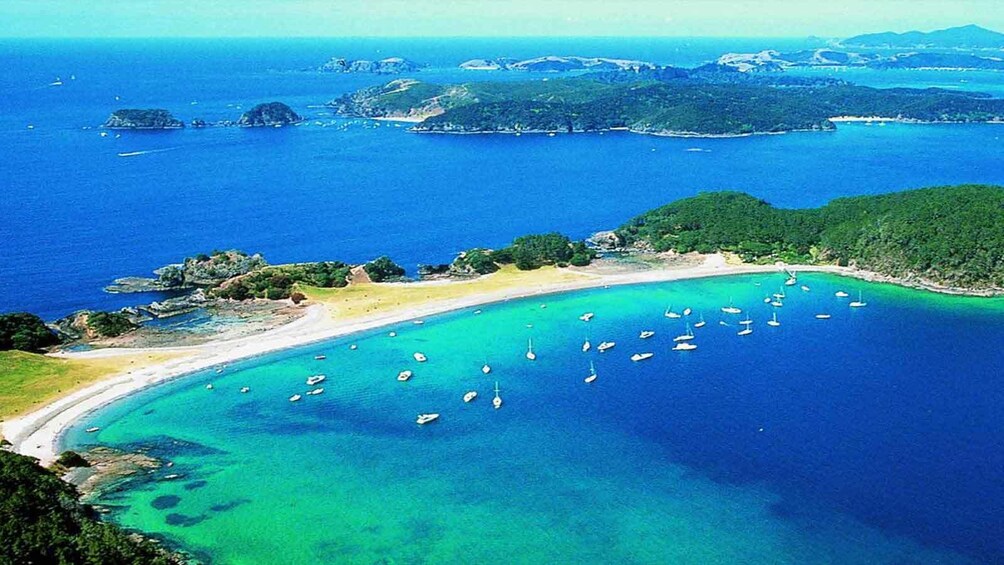 aerial view of sandy beach with boats anchored around