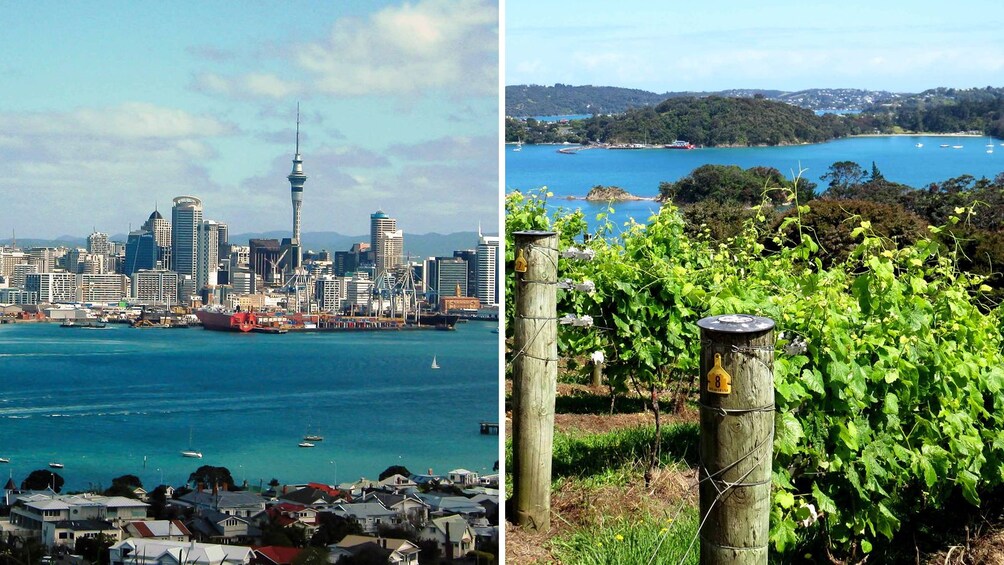 Combo image of City Highlights and Waiheke Island Wine Tour