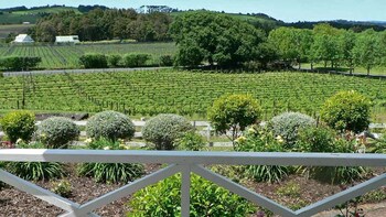 Shore Excursion: Auckland West Coast Wine Tour