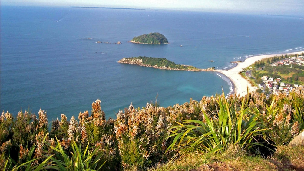 view of ocean in new zealand