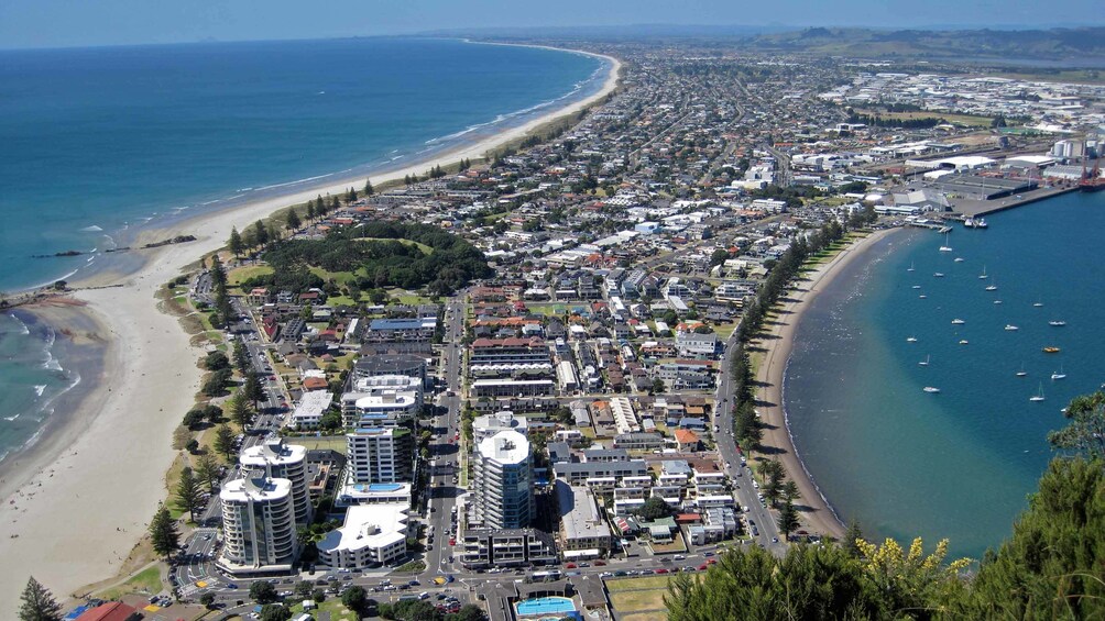 aerial view of town near ocean