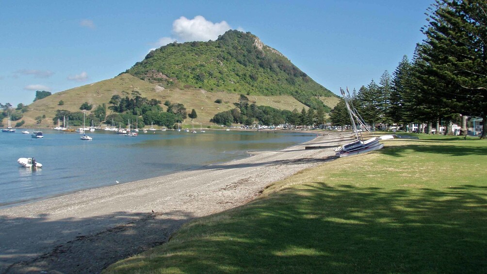 beach in new zealand