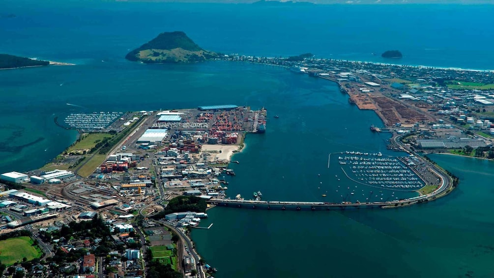 Aerial view of port city in new zealand