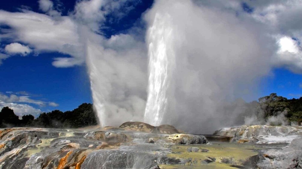 geyser in new Zealand