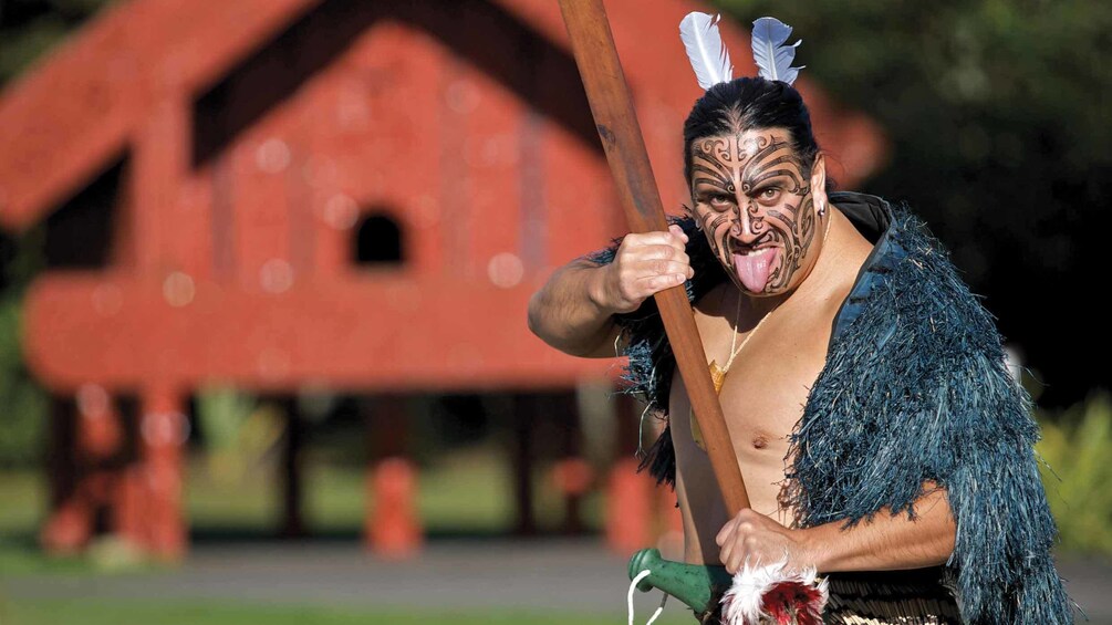 native performer in new zealand