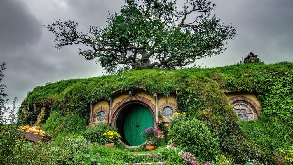 Show item 1 of 5. View of Hobbiton