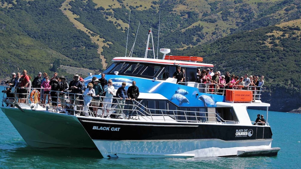 small cruise boat in new zealand