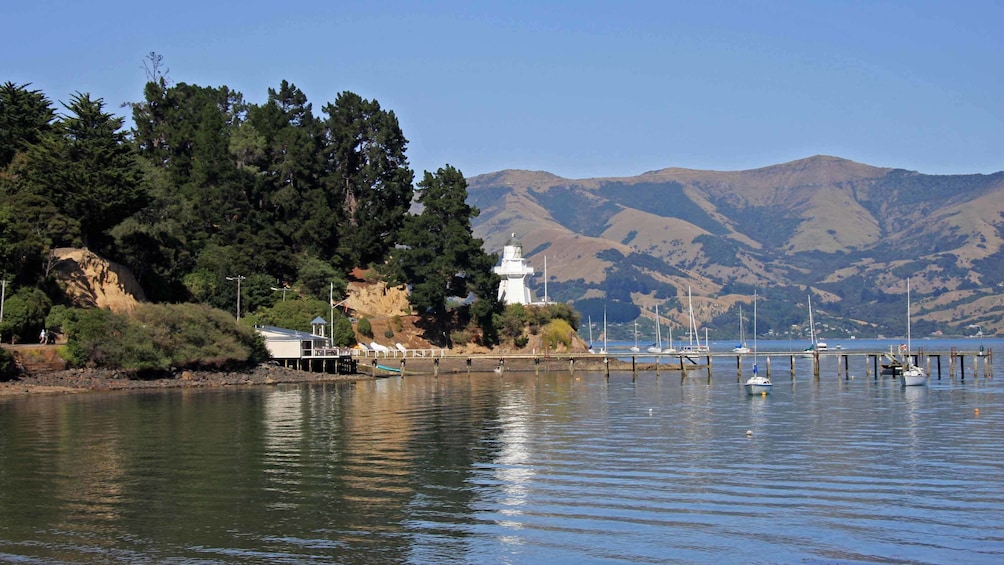 coastline in new zealand