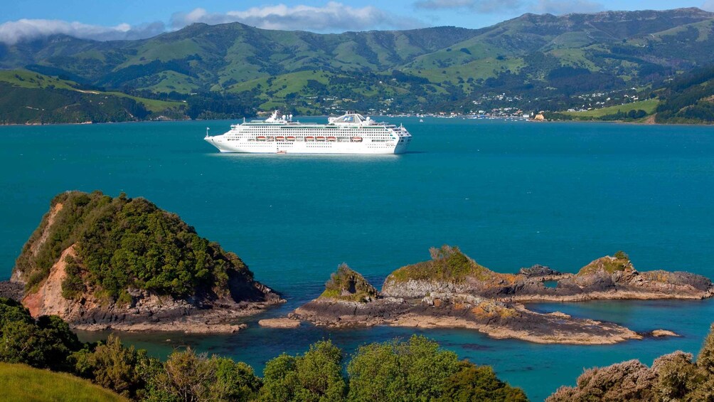 cruise boat on the water in new zealand
