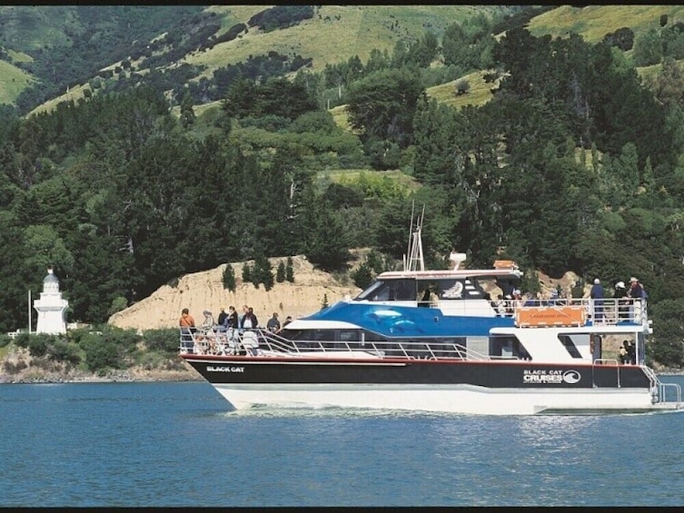 Activity Akaroa Cruise Excursion - Harbour Nature Cruise