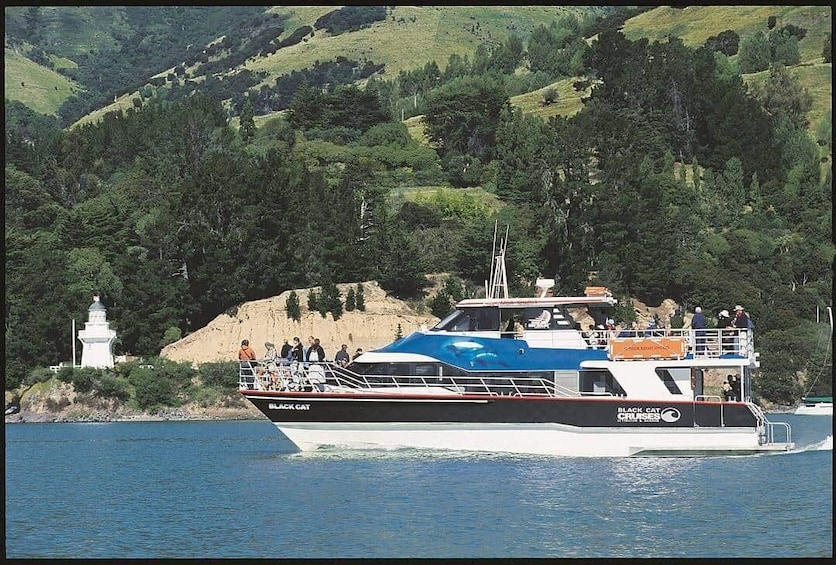 Akaroa Shore Excursion: Christchurch City Sightseeing Tour