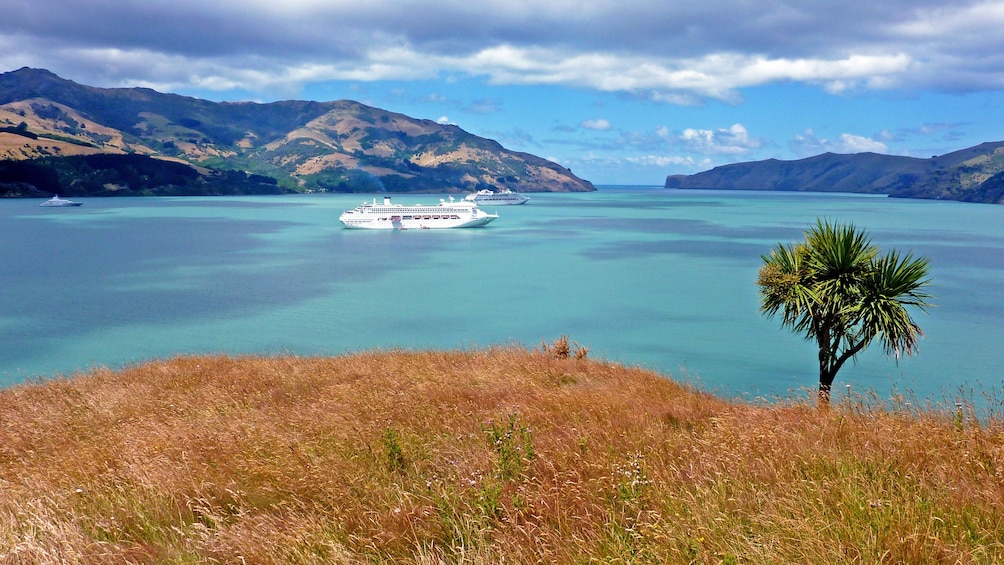 Serene panoramic view of Christchurch