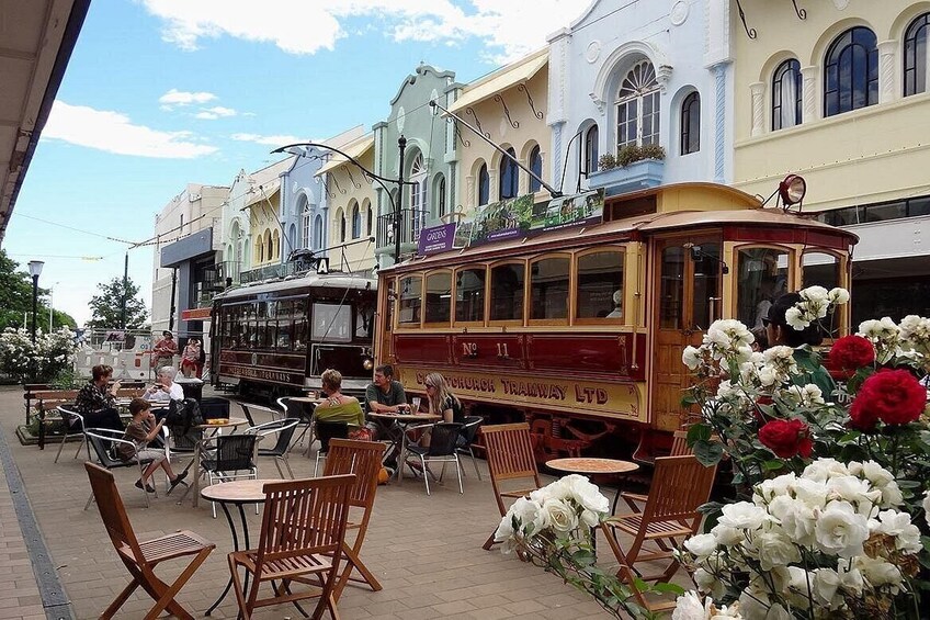Akaroa Cruise Excursion - City Sights & Willowbank Wildlife Reserve Tour