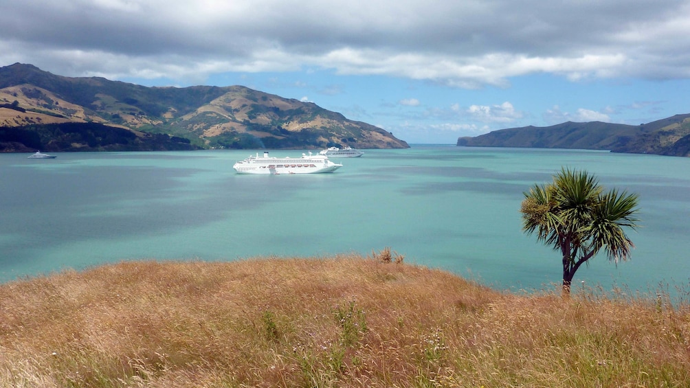 Cruise boat in Christchurch 