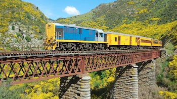 Dunedin Cruise Excursion – Taieri Gorge Railway & Sightseeing Tour